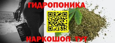 mdpv Кингисепп