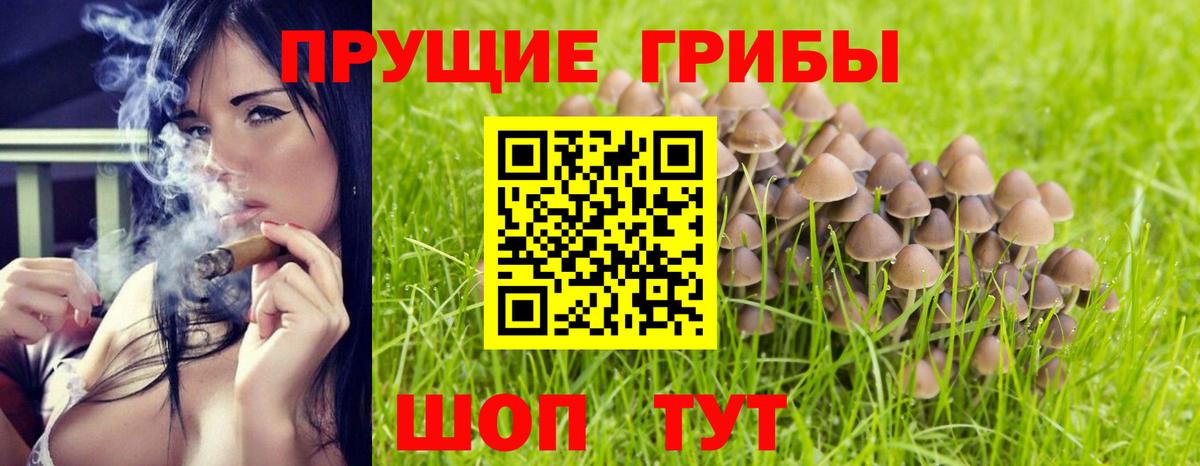 Псилоцибиновые грибы мицелий  Вход с VPN  Киров  Галлюциногенные грибы мухоморы 