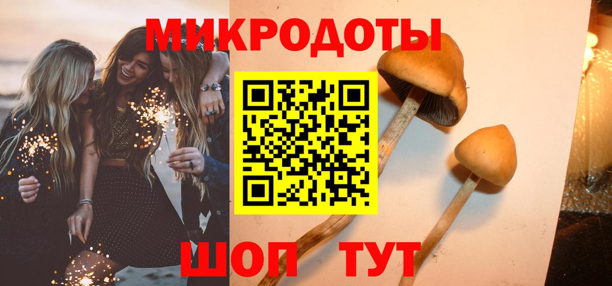 Галлюциногенные грибы Psilocybine cubensis Киров